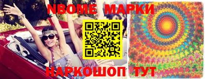 индика Кингисепп