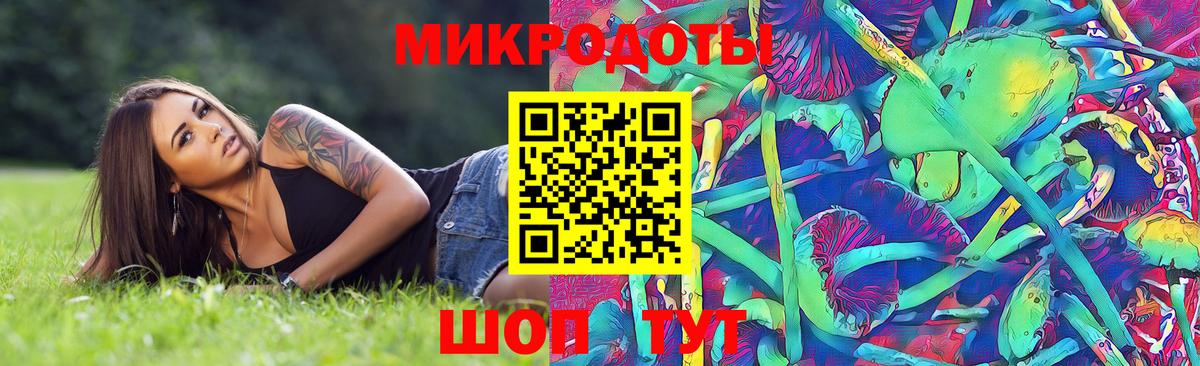Псилоцибиновые грибы мухоморы  Псилоцибиновые грибы ЛСД  Вход с VPN  Волхов 