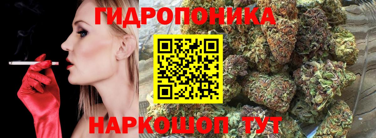 Бошки Шишки ГИДРОПОН Волхов